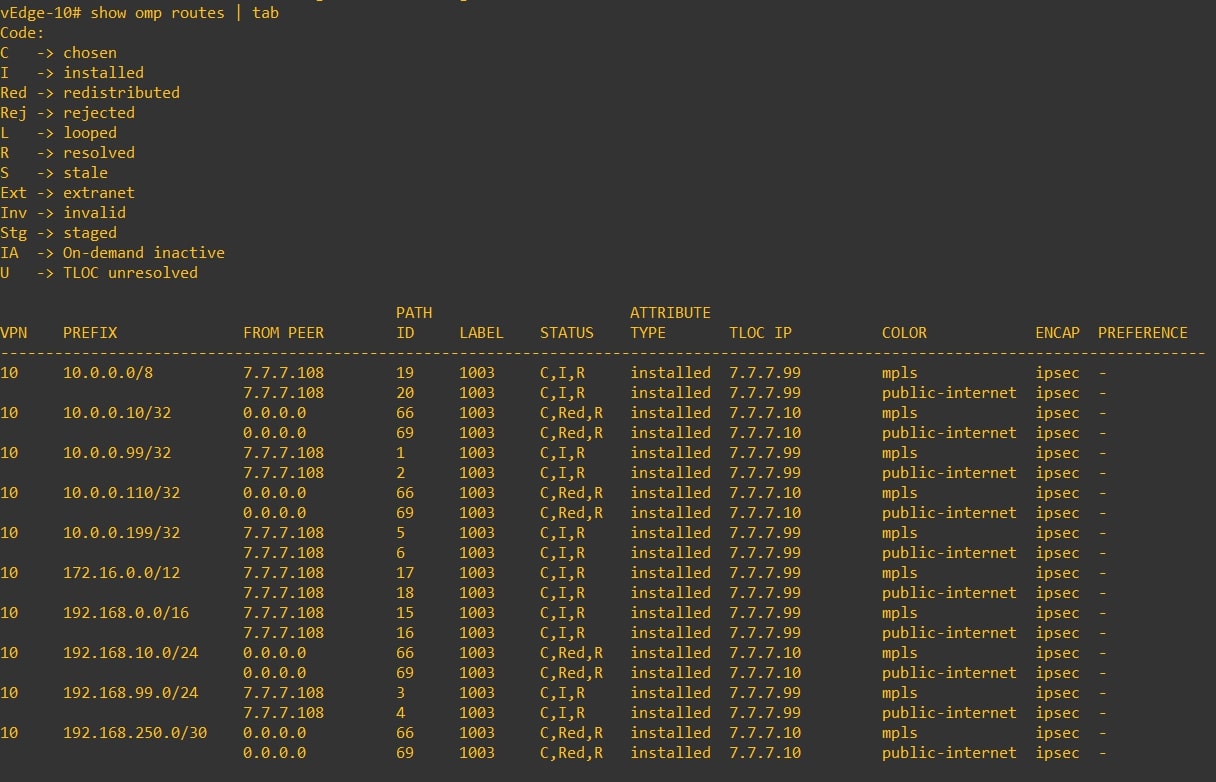 vedge10_verify1