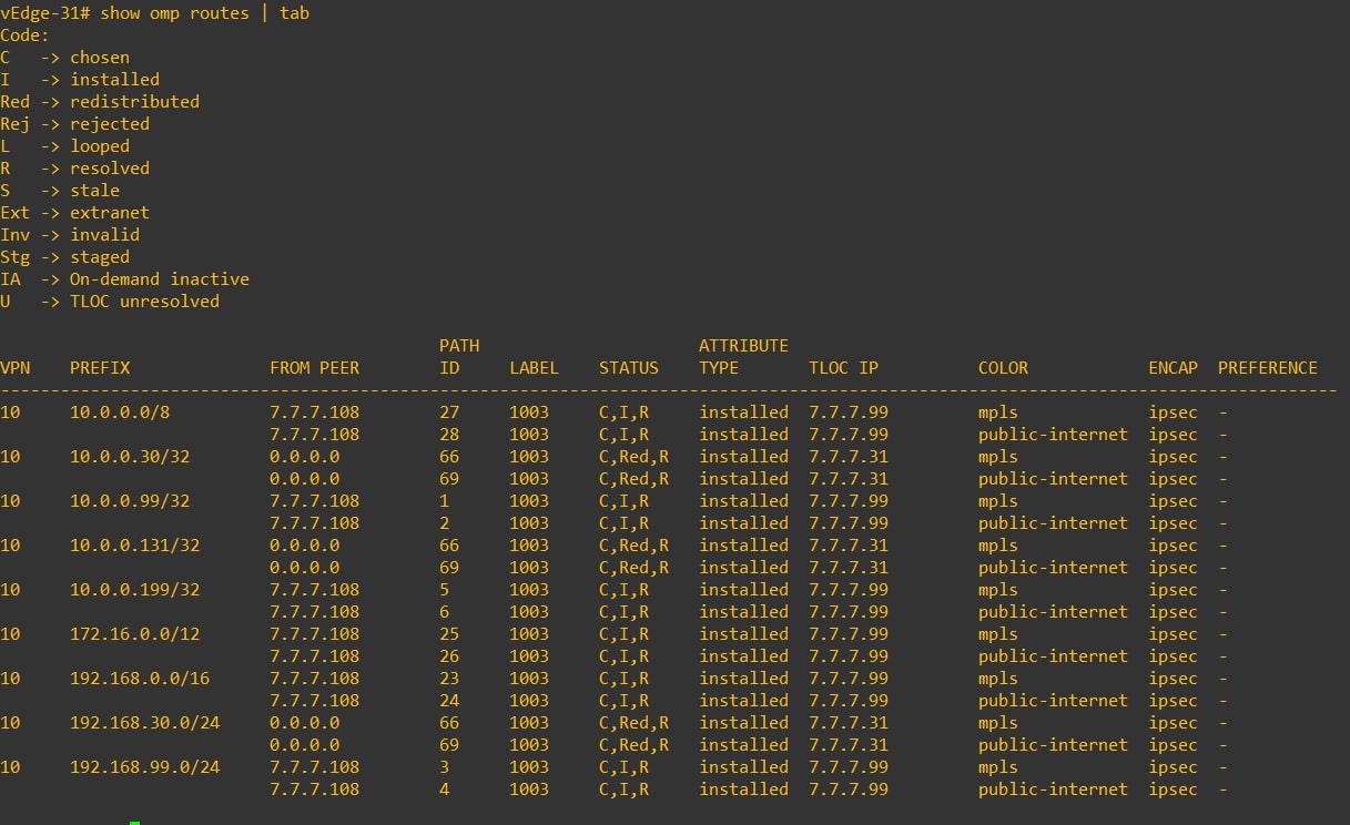 vedge31_verify1